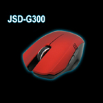 G300 Ϸ